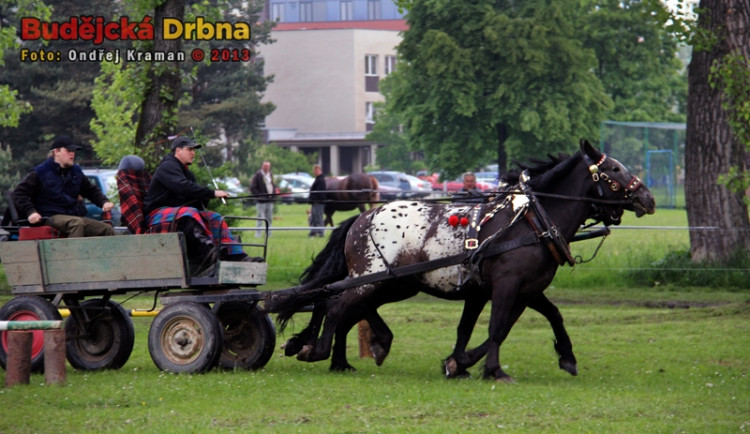 Kvalifikační kolo Mistrovství České republiky v kombinovaných soutěžích chladnokrevných koní