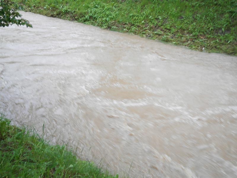 Foto Kristýna Černíková