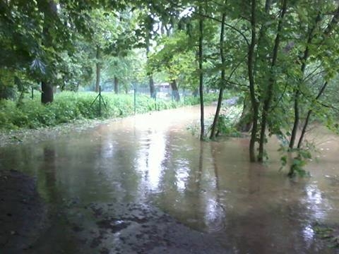 Silnice v zahrádkářské kolonii a ke koupališti U Špačků v Mladém. Foto Lenka Adamová