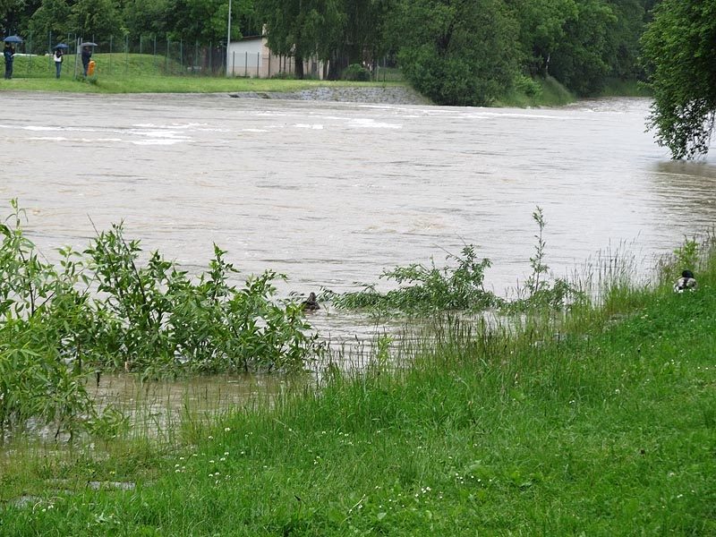 Foto Jan Pešek