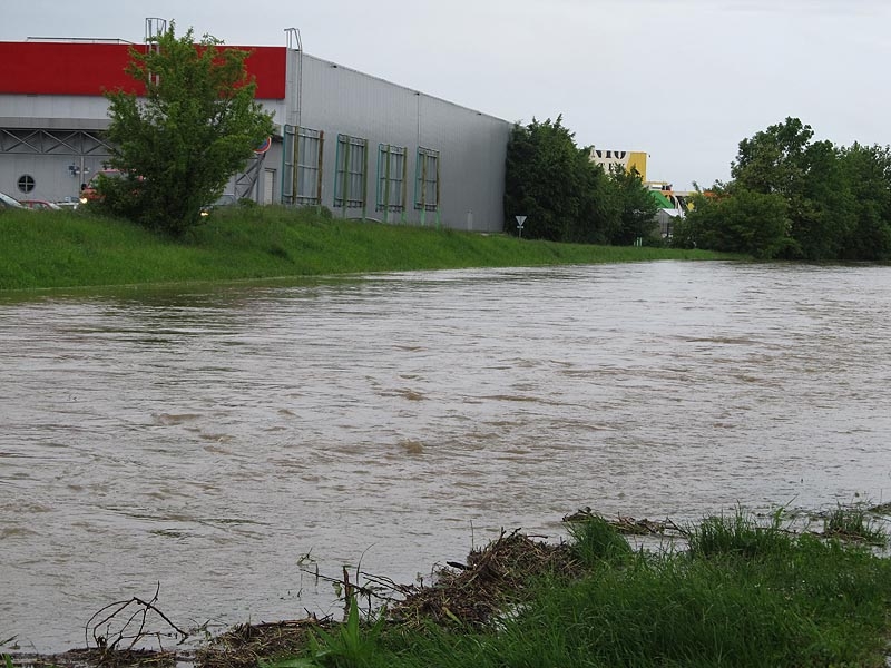 Foto Jan Pešek