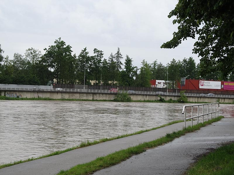 Foto Jan Pešek