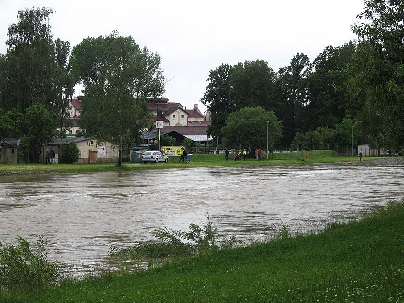 Foto Jan Pešek