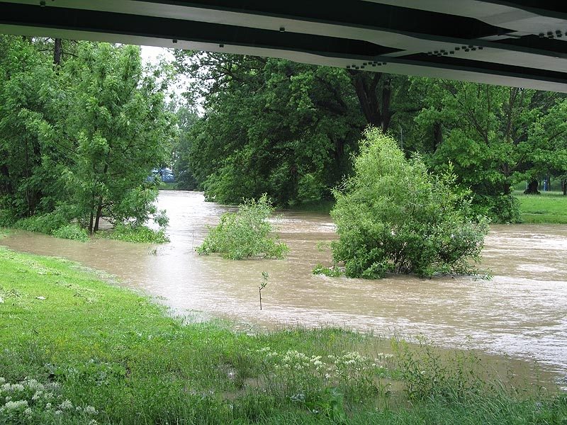 Foto Jan Pešek