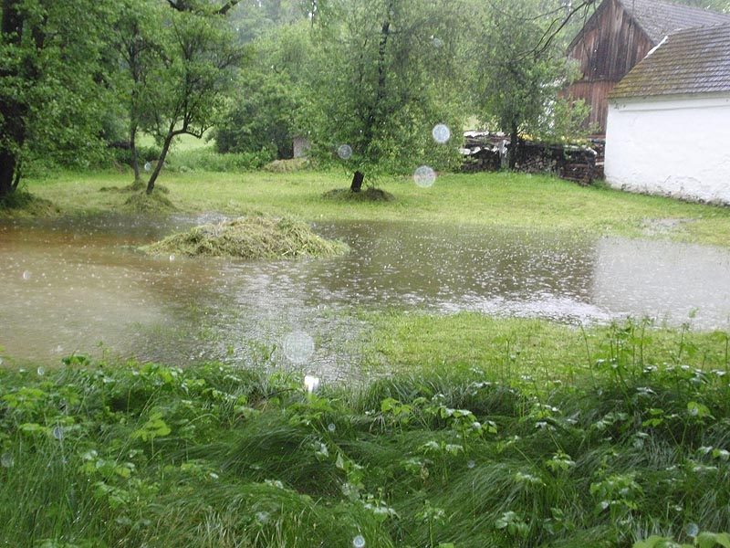 Samota Beran u Borovan. Foto Jana Voříšková