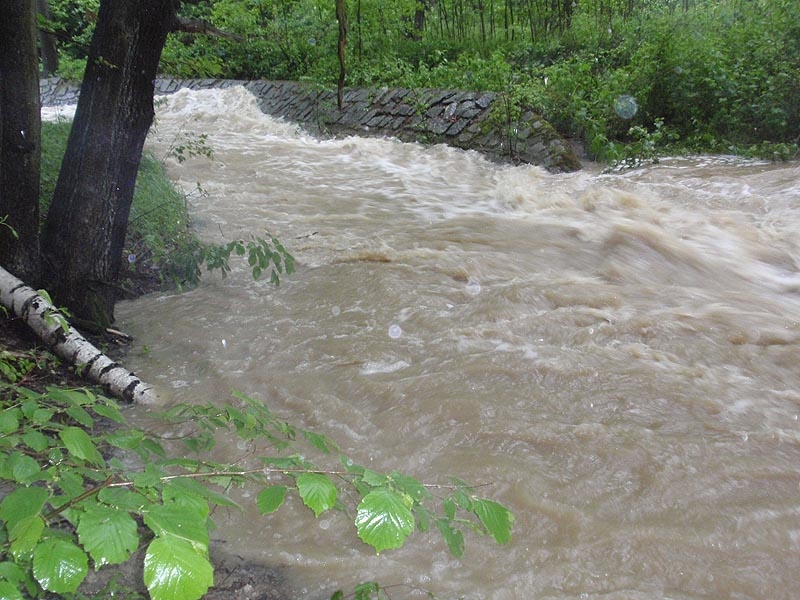 Samota Beran u Borovan. Foto Jana Voříšková