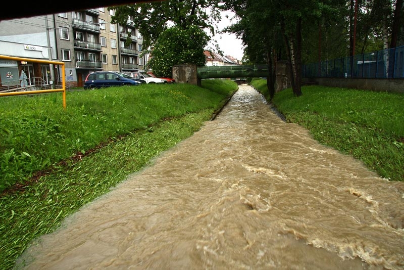 Foto Asperant