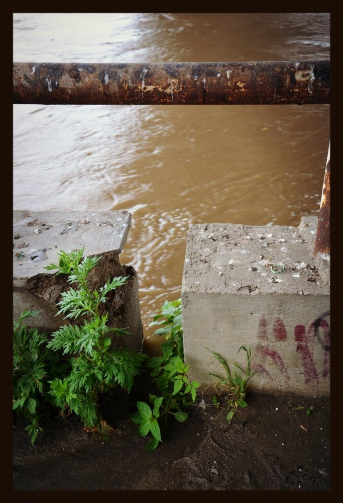 Pražské sídliště. Foto Linda Butulová