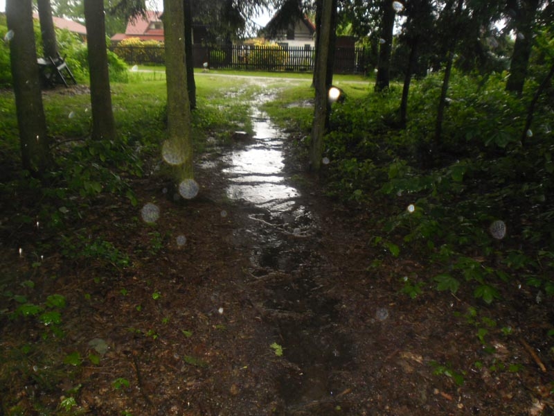Janovka u Nových Hradů. Foto borova.siska2