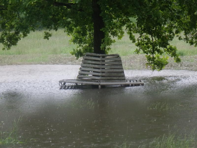 Stromovka. Foto Milan Pavlis