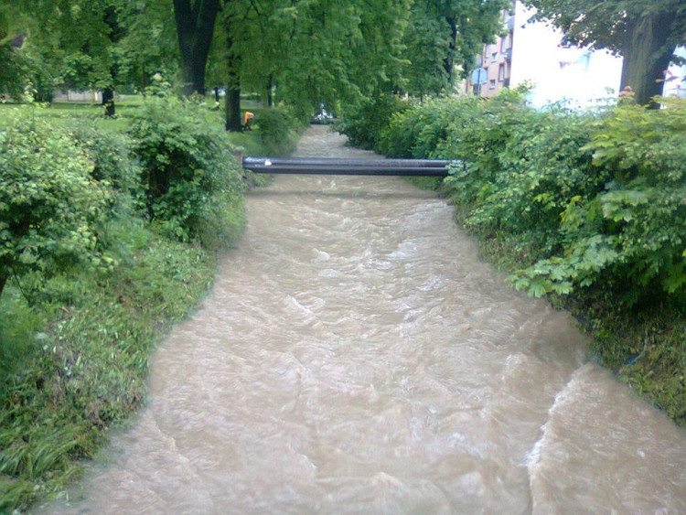 Potok v Suchém Vrbném. Foto Káťa Václavová