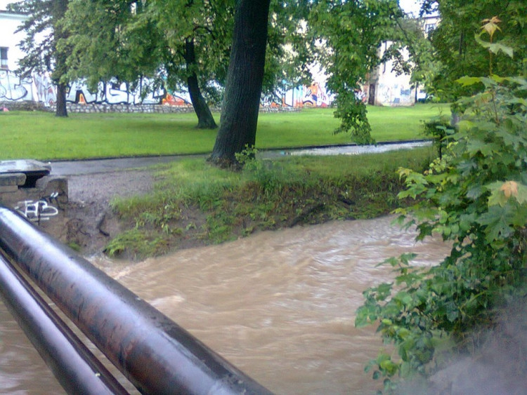Potok v Suchém Vrbném. Foto Káťa Václavová