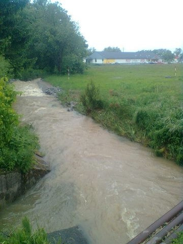 Potok v Nových Hrdějovicích. Foto Markéta Žáčková Ouborná