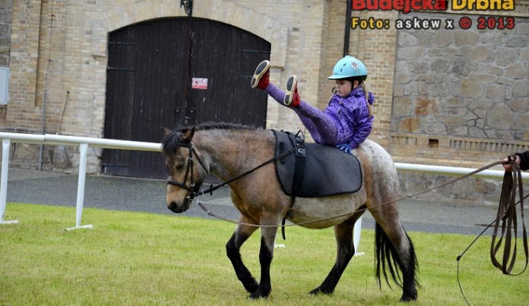 Den dětí v sedle ve Dvoře Vondrov