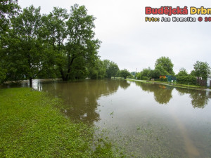 Povodně v Českých Budějovicích