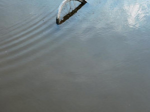 Umění, které odkryla voda...