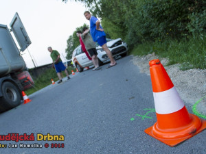 Srážka osobního automobilu s koněm v Šindlových Dvorech