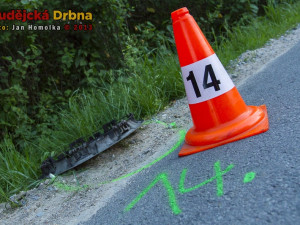 Srážka osobního automobilu s koněm v Šindlových Dvorech