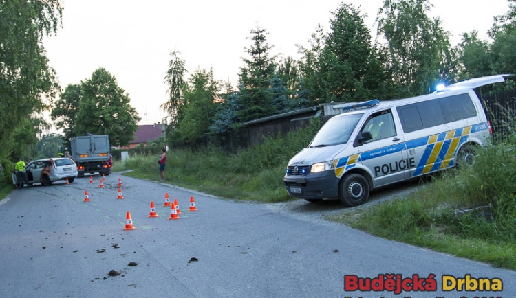 Srážka osobního automobilu s koněm v Šindlových Dvorech