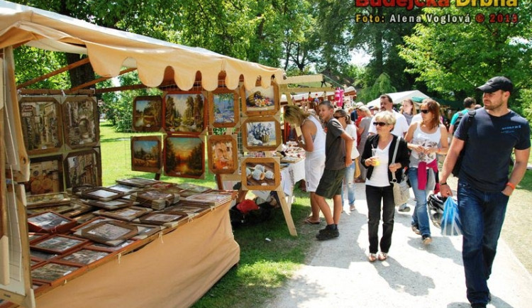 Borovanské borůvkobraní 2013