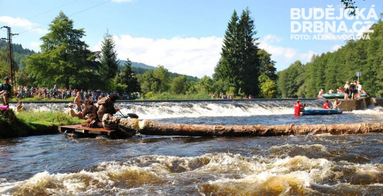 Bobři zatarasili svou kládou řeku