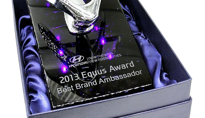 Významné ocenění