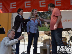 Jihočeské slavnosti vína v Hluboké