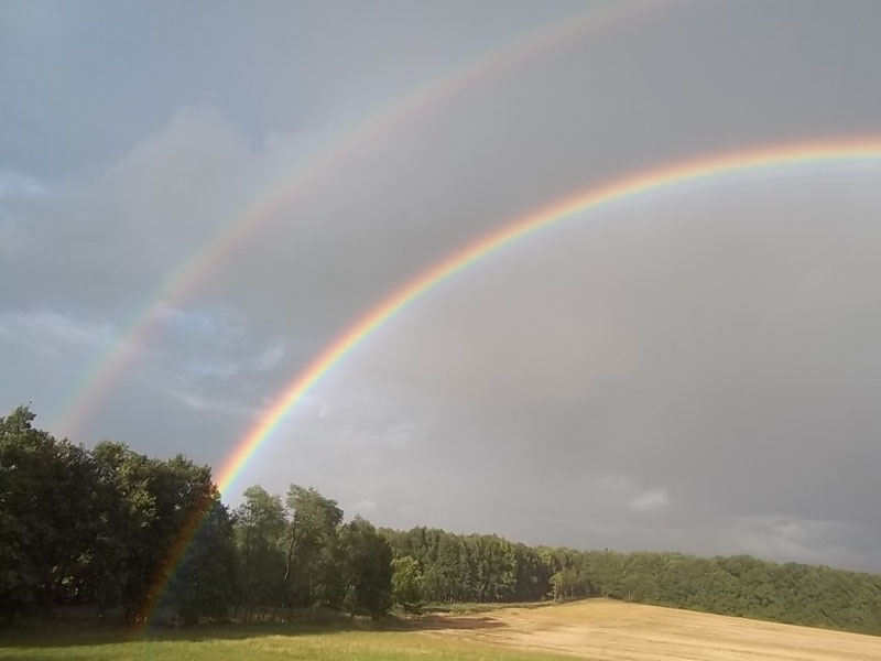 Foto Haňule19