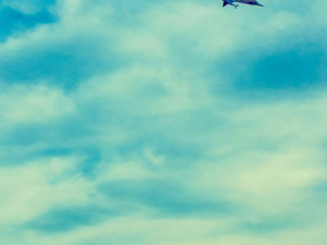 Sobotní pouštění draků na Dubičáku