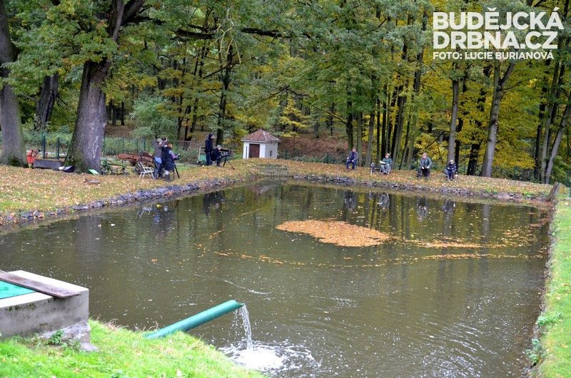 Výlov rybníku Rožmberk