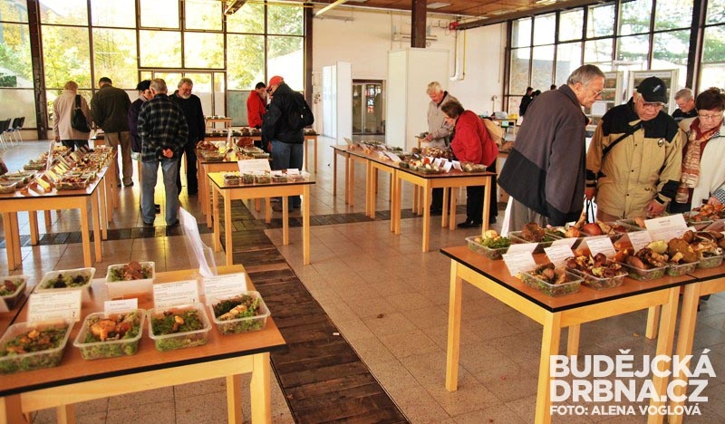 Výstava hub opět zaujala spousty návštěvníků
