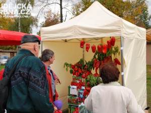 Papriky udivovaly kolemjdoucí