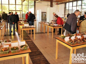 Výstava hub opět zaujala spousty návštěvníků