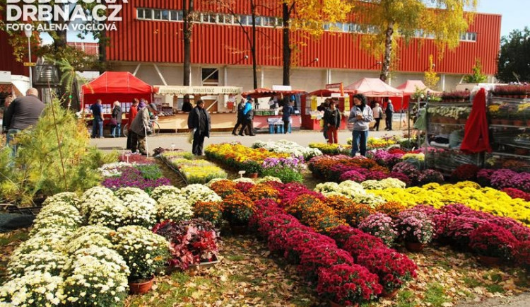 Barevné květy potěšily oko i duši