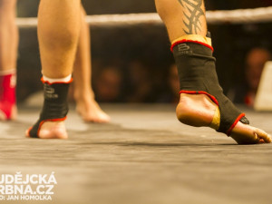 Pardál Gladiators Night 2013