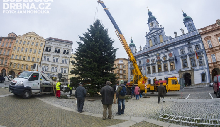 Stavění vánočního stromu na náměstí Přemysla Otakara II.