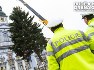 Stavění vánočního stromu na náměstí Přemysla Otakara II.