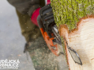 Stavění vánočního stromu na náměstí Přemysla Otakara II.