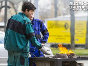 Vzdělání a řemeslo 2013