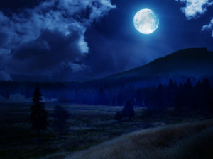 Soutěžní práce budějckých studentů fotografů