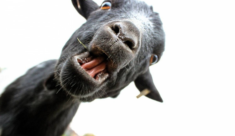 Soutěžní práce budějckých studentů fotografů