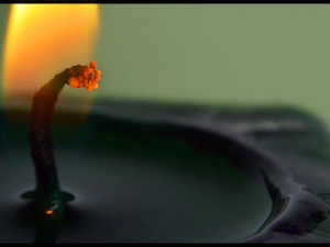 Soutěží E. Mondlová