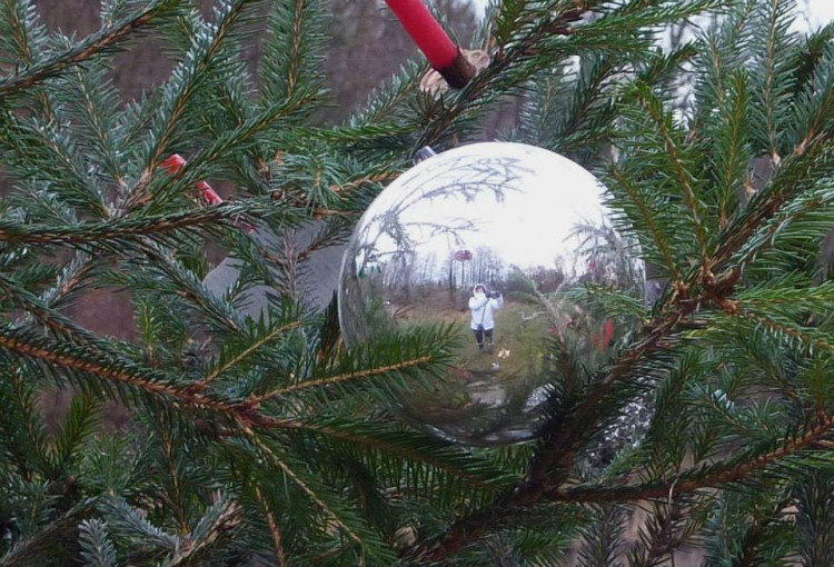 Světla Zemanová ve vánoční kouli (vánoční stromek u rybníka Jarval). Soutěží Světla Zemanová