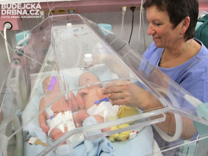 Deniel a Dominik (zprava) Fošumovi z Římova jsou prvními jihočeskými miminky roku 2014. Na snímku v péči staniční sestry neonatologického oddělení Stanislavy Adámkové