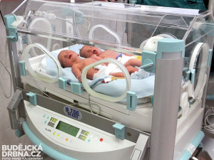 Deniel a Dominik (zprava) Fošumovi z Římova jsou prvními jihočeskými miminky roku 2014