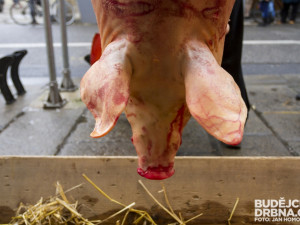 Pátý ročník zabíjačky před Masnými krámy