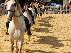 Žákyně Střední školy chovu koní a jezdectví Kladruby nad Labem