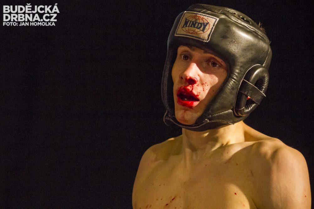 Otevřené mistrovství České republiky v MMA a Muay Thai