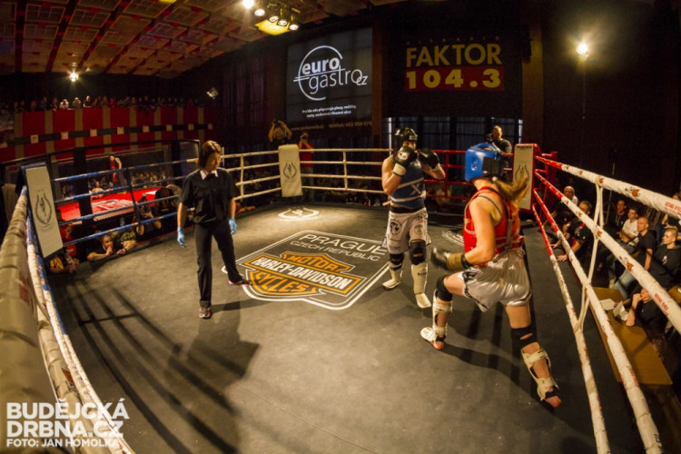 Otevřené mistrovství České republiky v MMA a Muay Thai