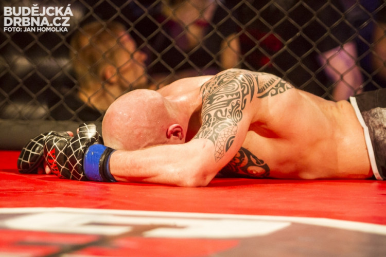 Otevřené mistrovství České republiky v MMA a Muay Thai